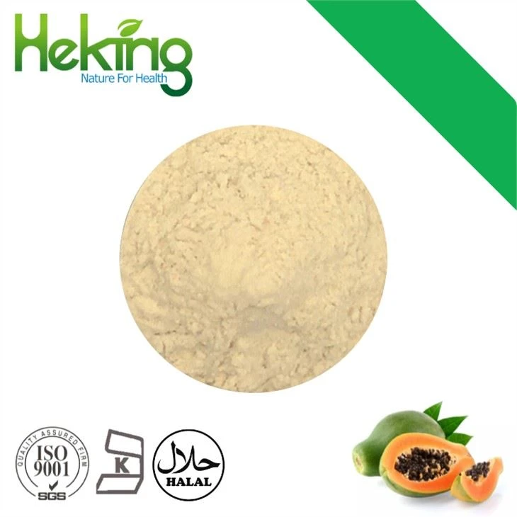 Papaya Fruit Powder
